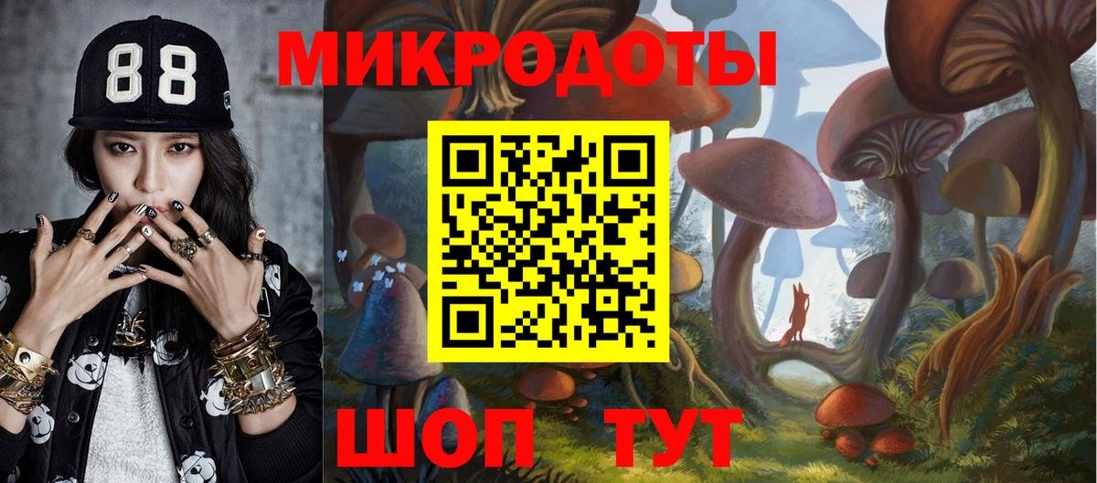 Галлюциногенные грибы Psilocybe  Вход с VPN  Псилоцибиновые грибы мухоморы  Подольск 